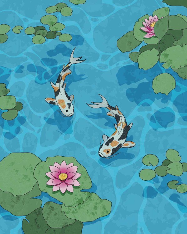 illustration of 2 koi fish swimming in a pond with lily pads and flowers